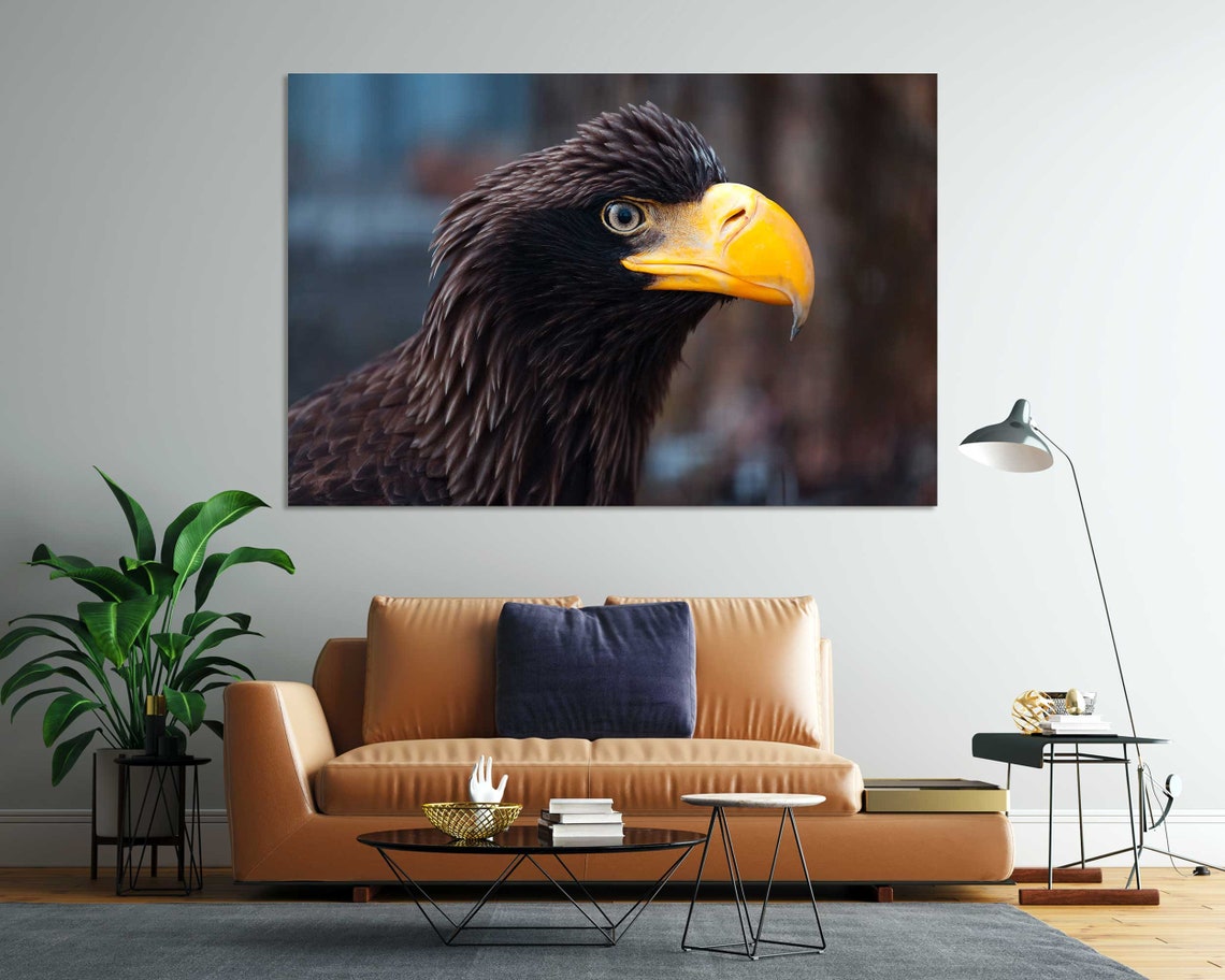 Black Eagle Profile Yellow Beak Majestic Wildlife Photo Poster