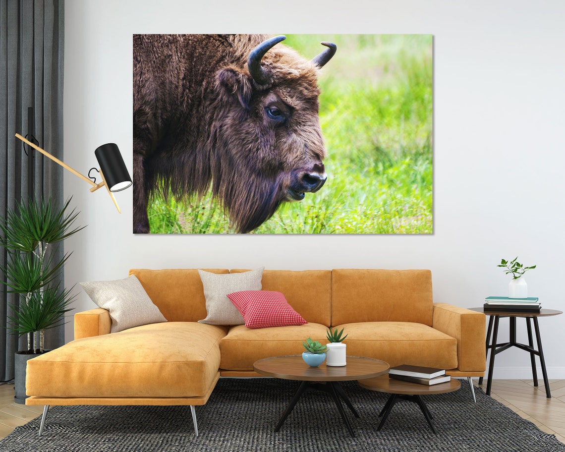 Bison Buffalo Closeup Portrait Wild Animal Wildlife Art Print - Image 5