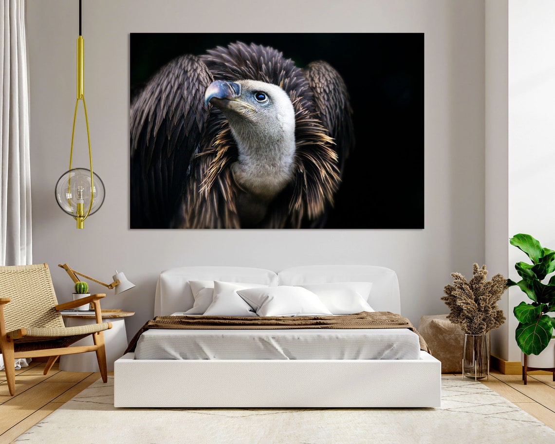 Griffon Vulture Portrait Three Panel Dramatic Bird of Prey Art Poster - Image 2