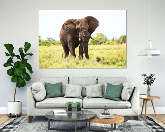 African Elephant Walking Grassland Savanna Wildlife Photography Poster