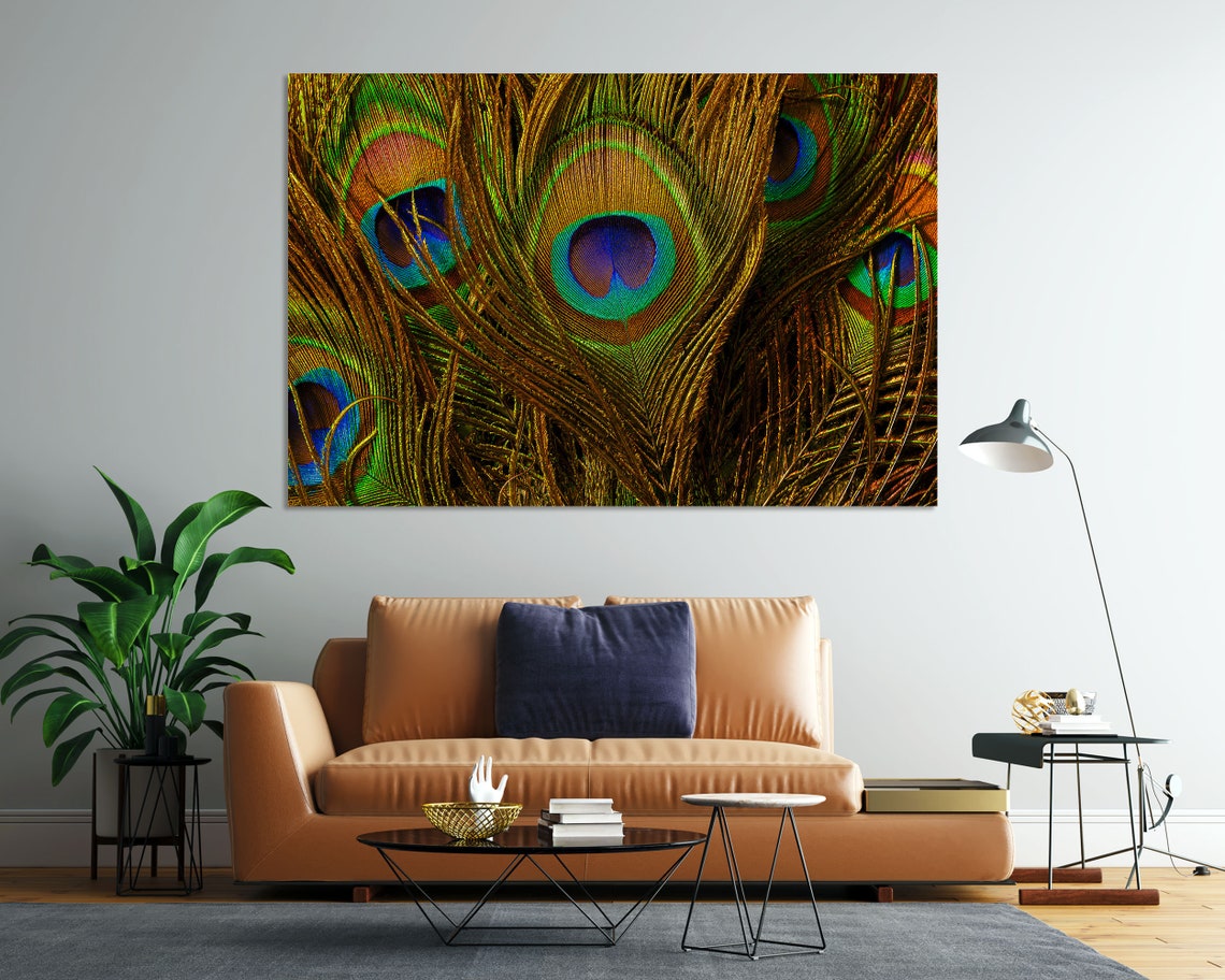 Peacock Feather Eyes Macro Photography Iridescent Teal Gold Print