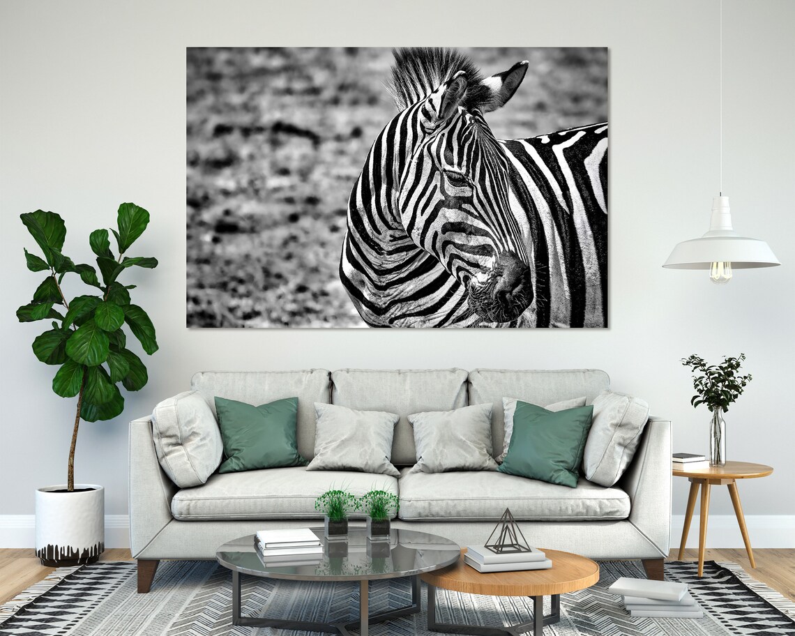 Black White Zebra Portrait Stripes Safari Wildlife Photography Wall Art Poster