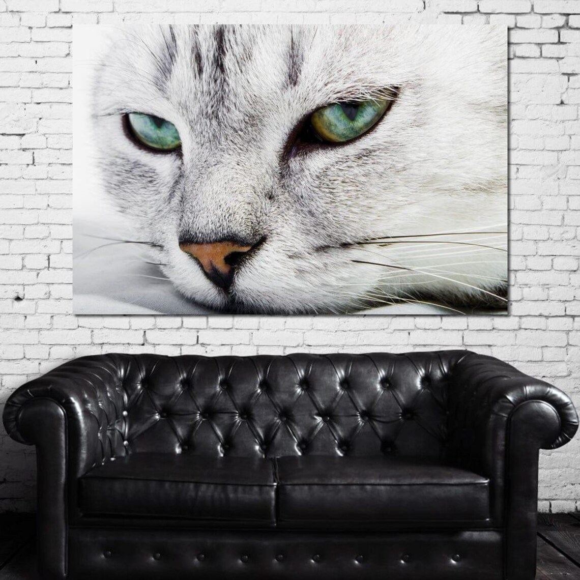 White Cat Green Eyes Close Up Relaxing Feline Photography Wall Art Print - Image 3