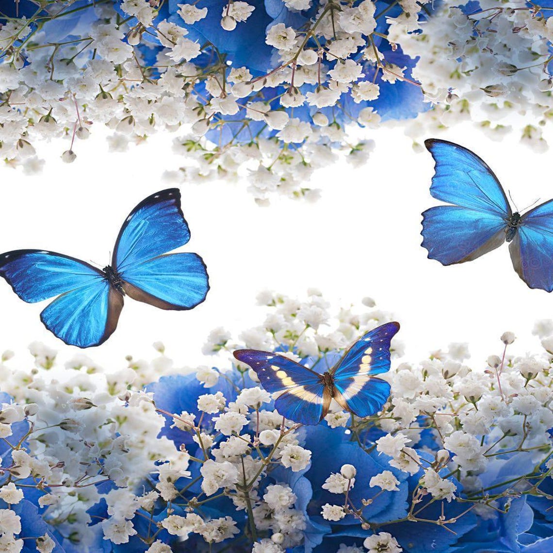 Flowers Butterflies Multi Panel Blue Butterfly Wall Art Modern Decor Botanical Print Nature Art By Nichecanvas - Image 2