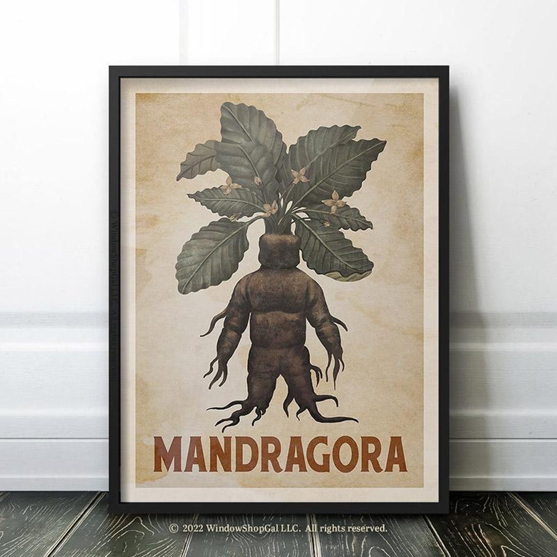 Mandragora Mandrake Vintage Poster, Retro Kitchen Art - Image 2