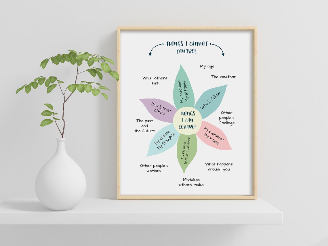 Things I Can Control Flower Diagram Things I Cannot Control Poster - Image 2
