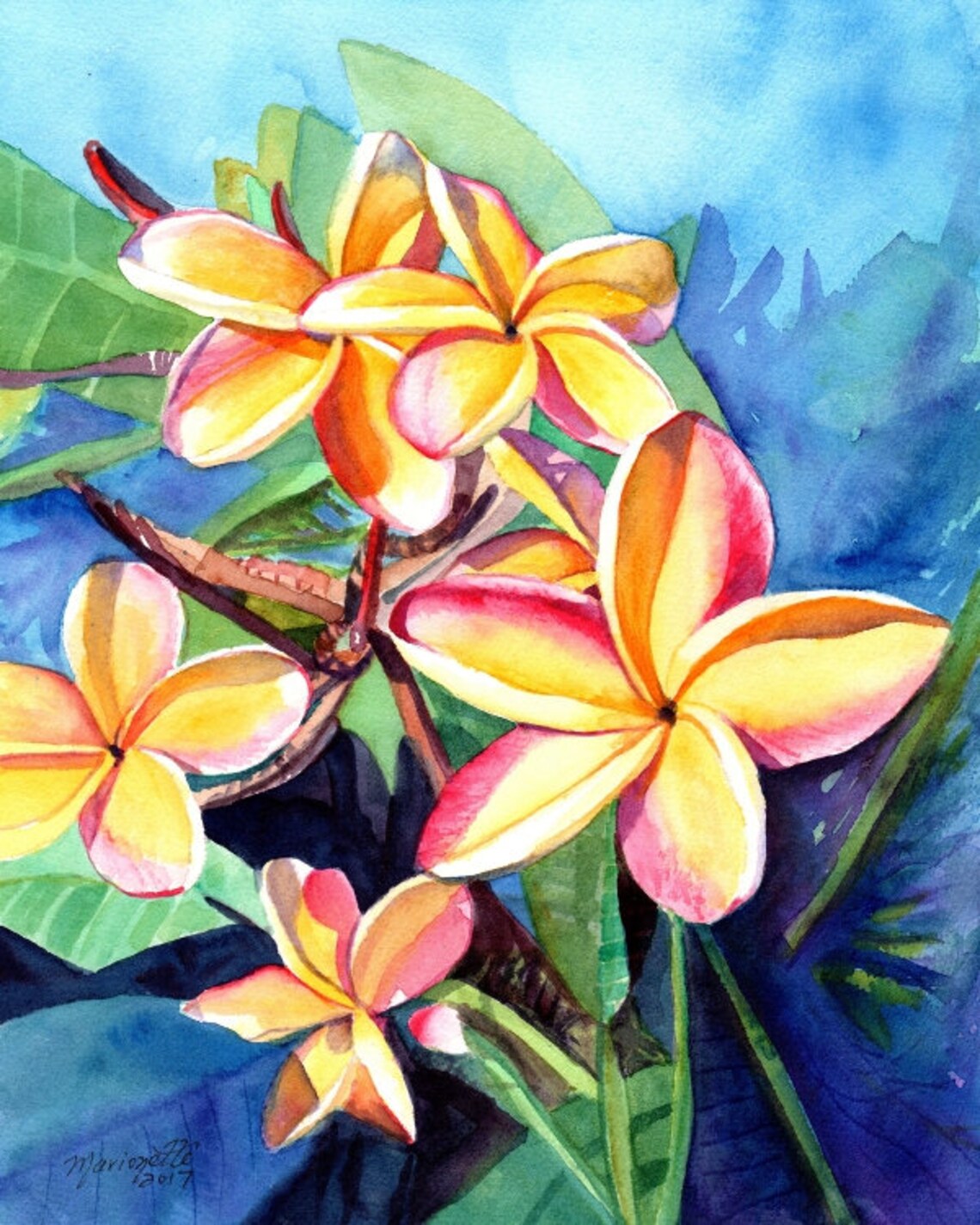 Plumeria Art Print, Hawaiian Tropical Fine Art