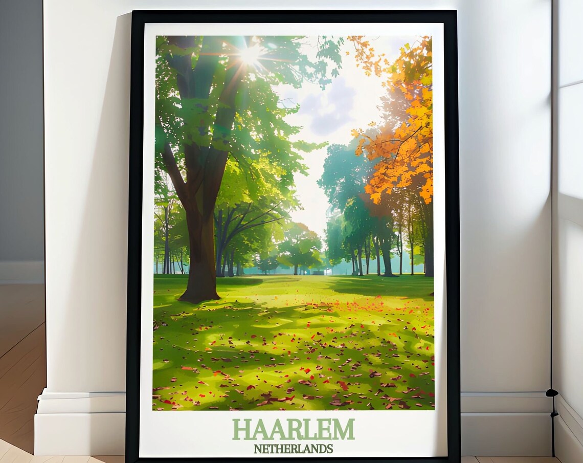 Haarlem Netherlands Haarlemmerhout Forest Dappled Light Poster
