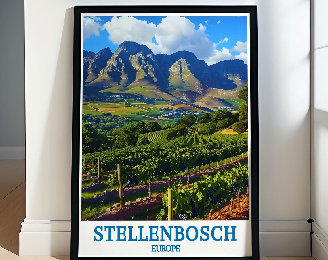 Stellenbosch Vineyards Dramatic Mountain Valley Wine Country Poster