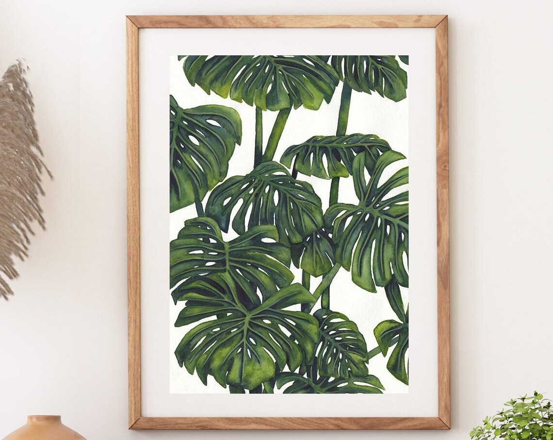 Monstera Deliciosa Watercolor Leaves on a White Background Poster
