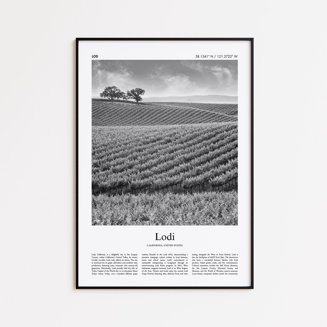 Lodi California Rolling Vineyards Black And White Travel Poster