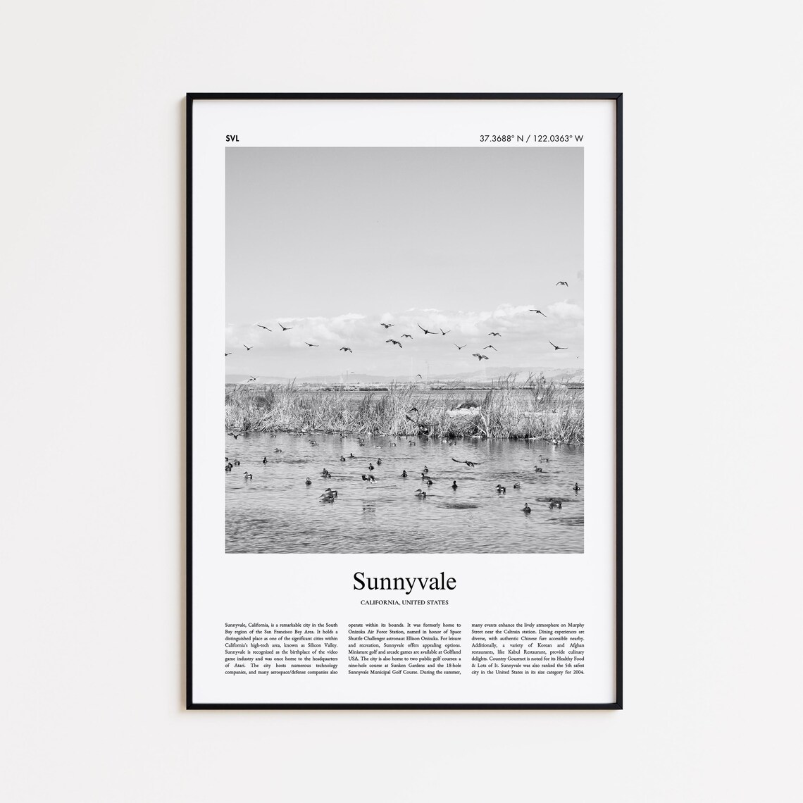 Sunnyvale California Birds Over Water Black and White Travel Poster