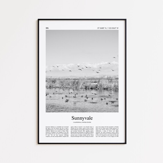 Sunnyvale California Birds Over Water Black and White Travel Poster