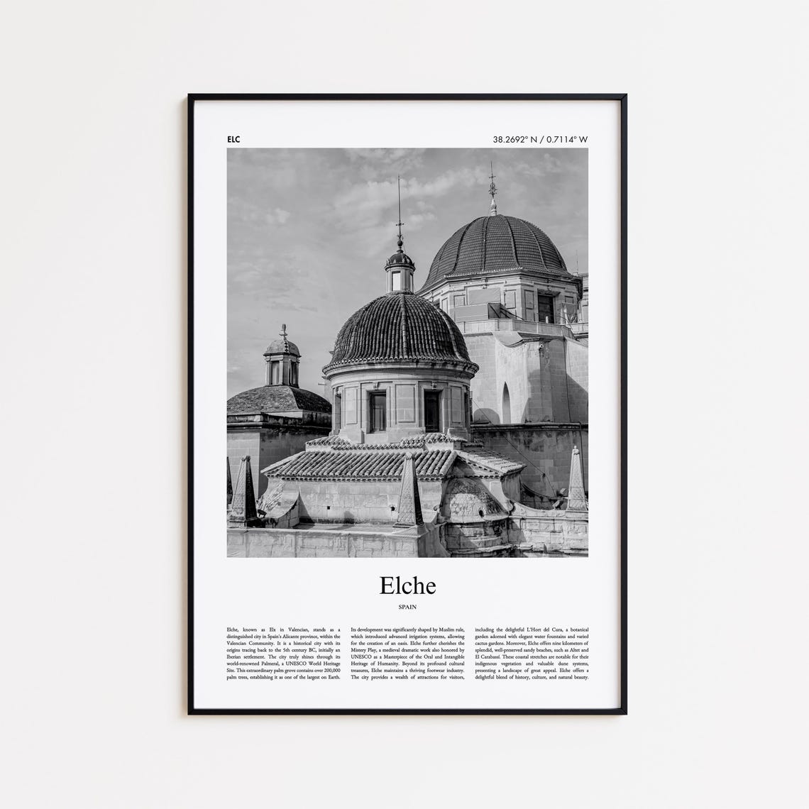 Elche Spain Black White Cathedral Domes Old Town View Poster