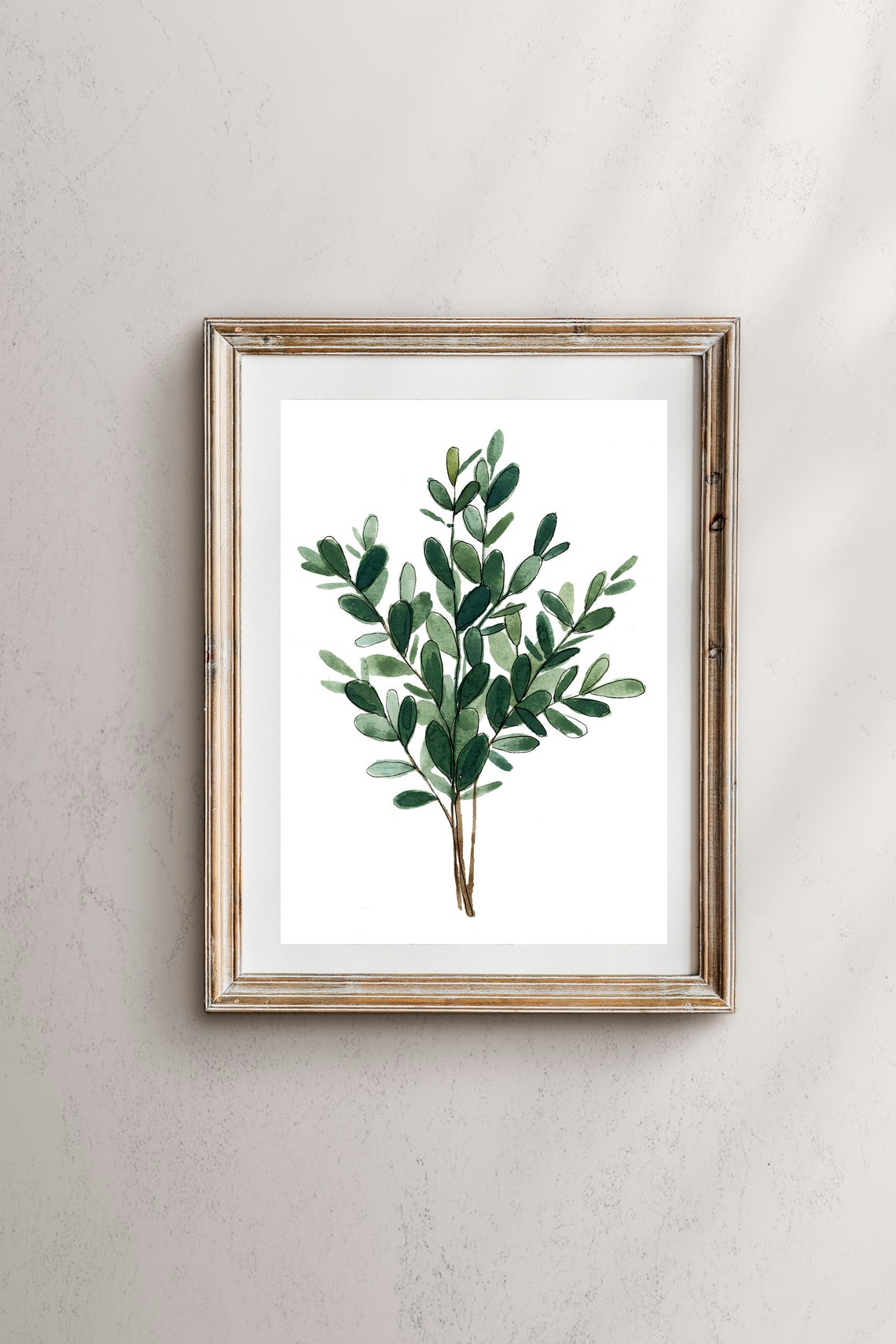 Eucalyptus Leaves Botanical Art Print