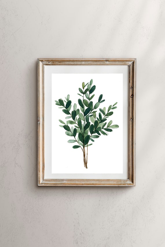 Eucalyptus Leaves Botanical Art Print