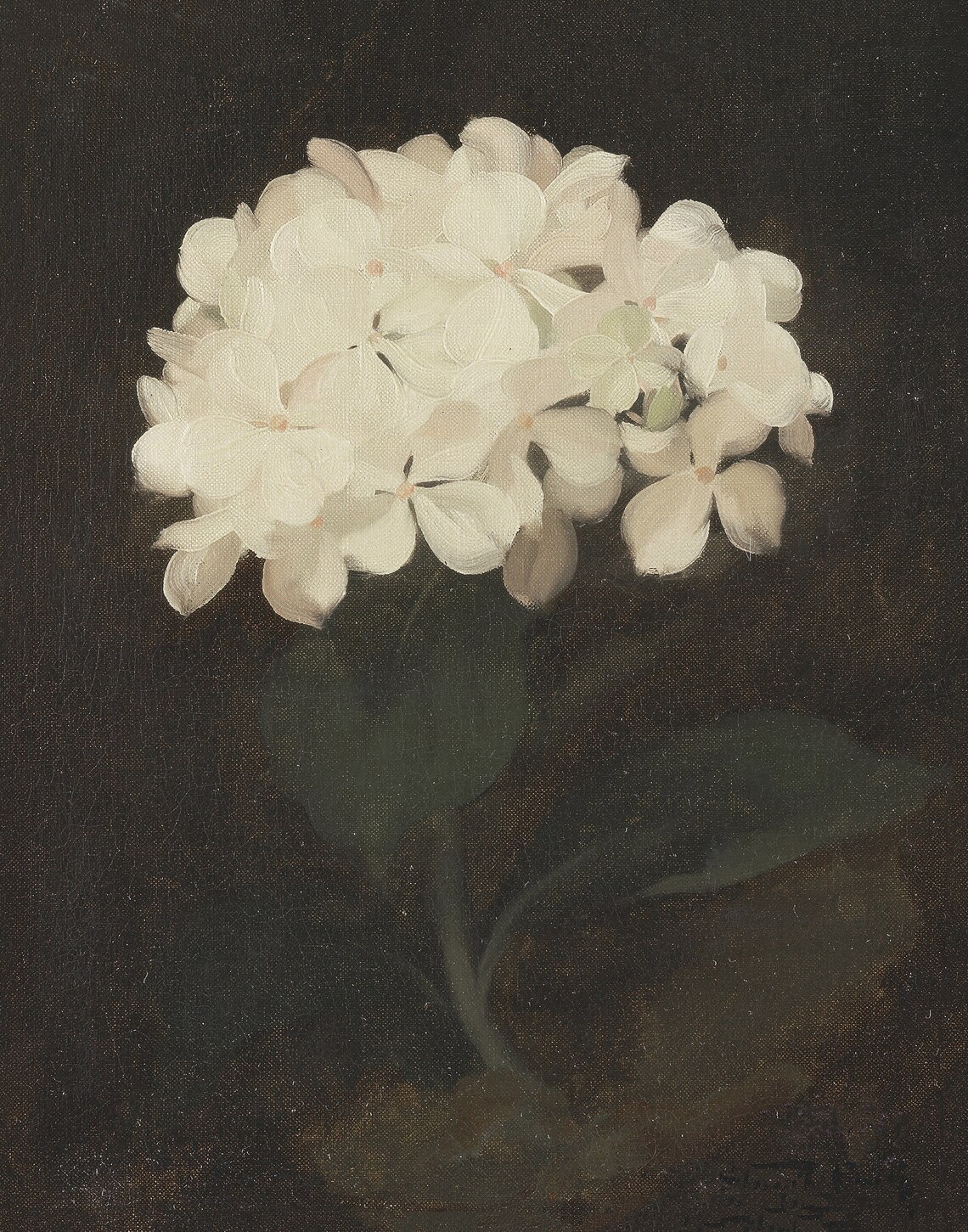 Vintage Hydrangea Painting, Antique Botanical Art Print - Image 4