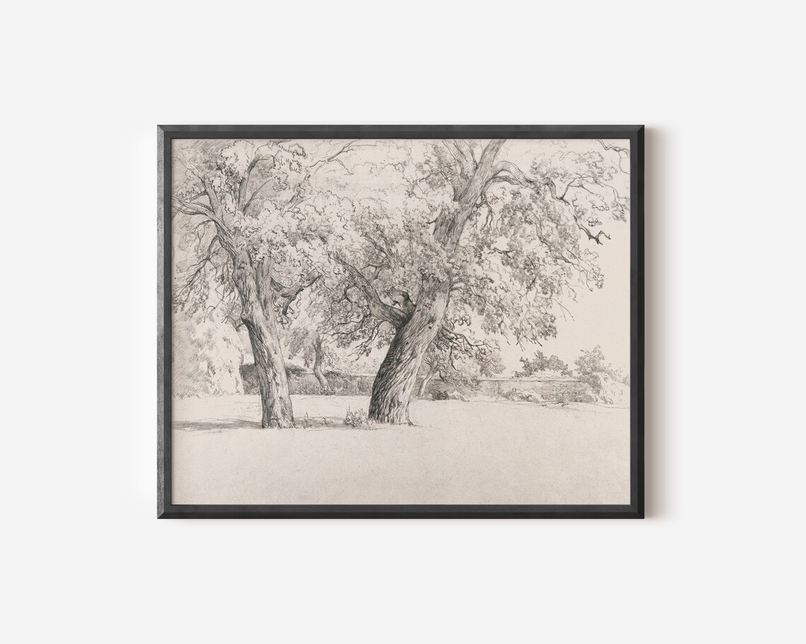 Antique Tree Sketch, Farmhouse Landscape Art Print - Image 4