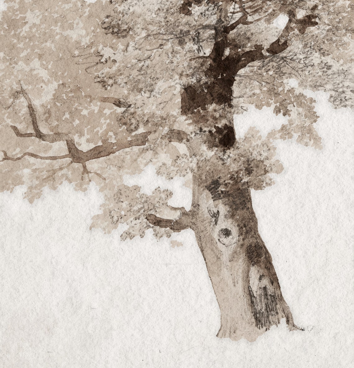 Neutral Tree Artwork Vintage Art Print Farmhouse Decor Art Print Neutral Wall Art 562 - Image 3