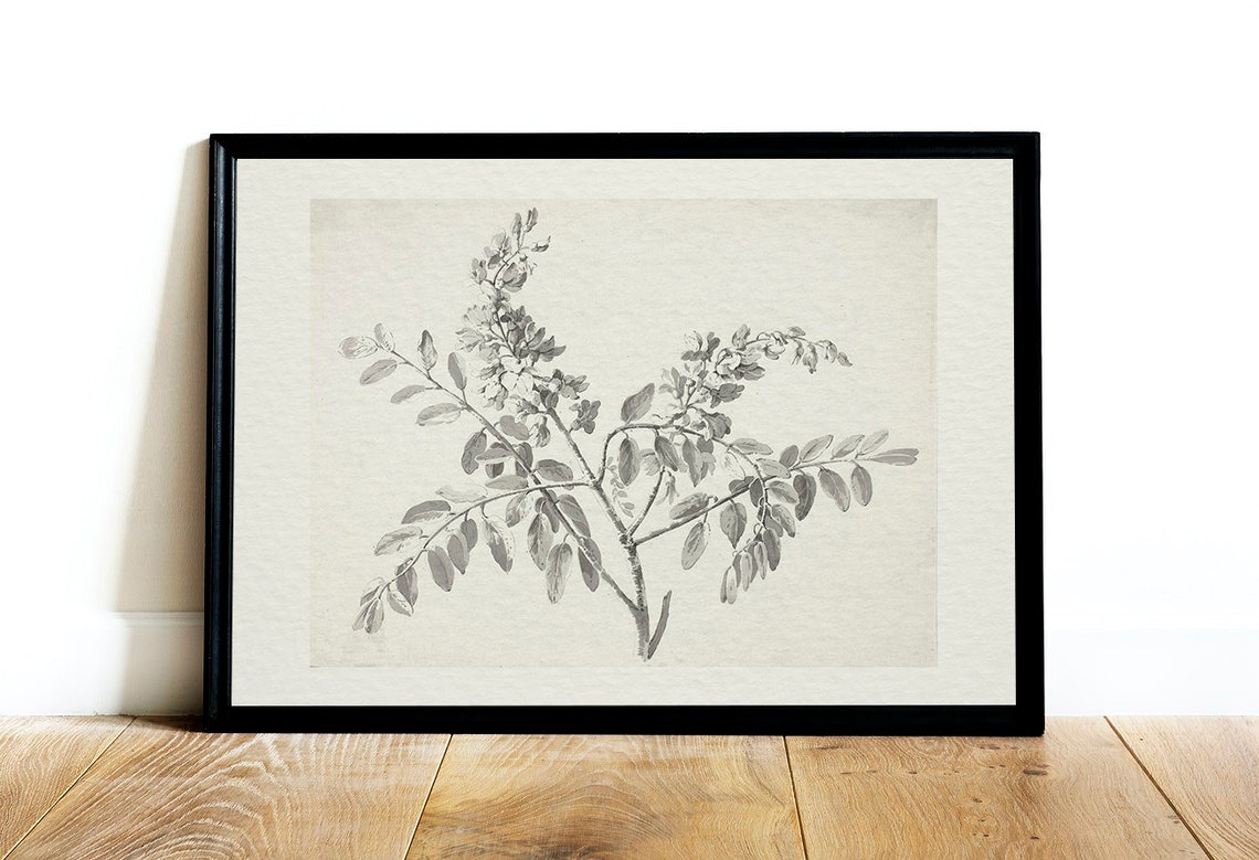 Vintage Branch Sketch, Antique Botanical Art Print - Image 3