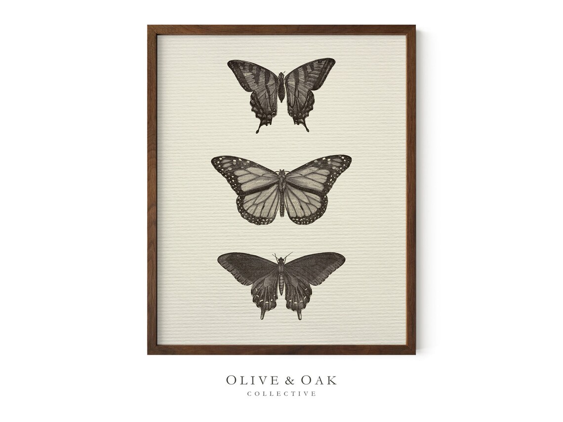 Vintage Neutral Butterfly Print, Antique Drawing - Image 3