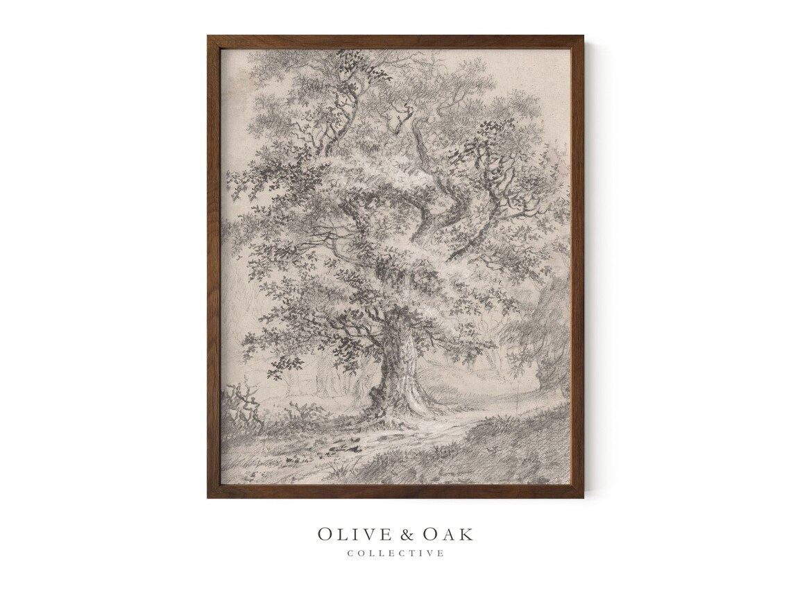 Vintage Tree Sketch, Rustic Tree Drawing Art Print - Image 2