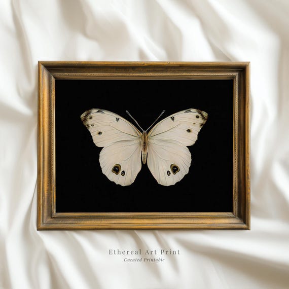 Vintage White Butterfly Print Dark Moody Insect Wall Art Moth Painting Cottagecore Decor
