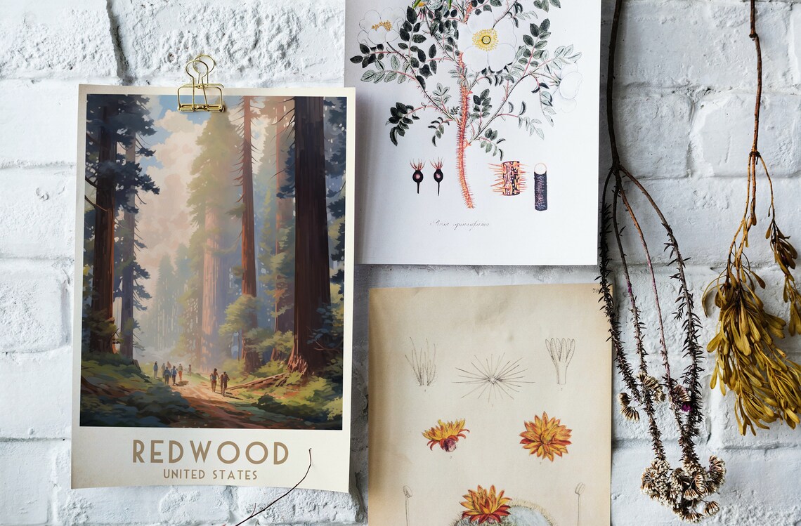 Redwood Forest United States Giant Trees Hikers Trail Travel Poster - Image 4
