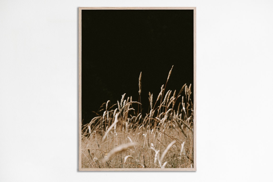 Dried Grass Black Background Neutral Boho Botanical Photography Print