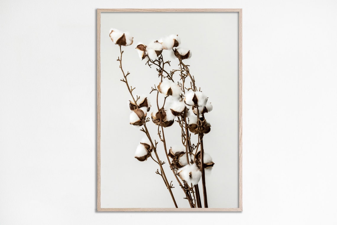 Cotton Flowers Neutral Beige Botanical Minimalist Still Life Poster