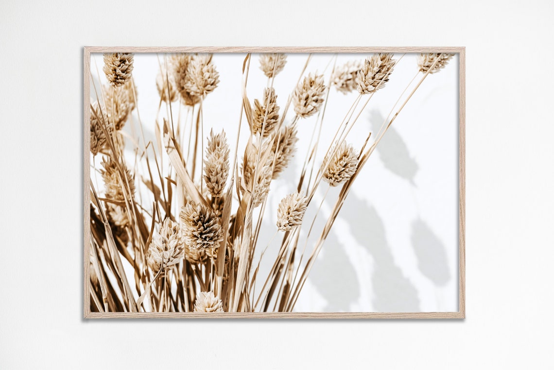 Dried Botanical Grasses Photography Print In Warm Neutral Tones