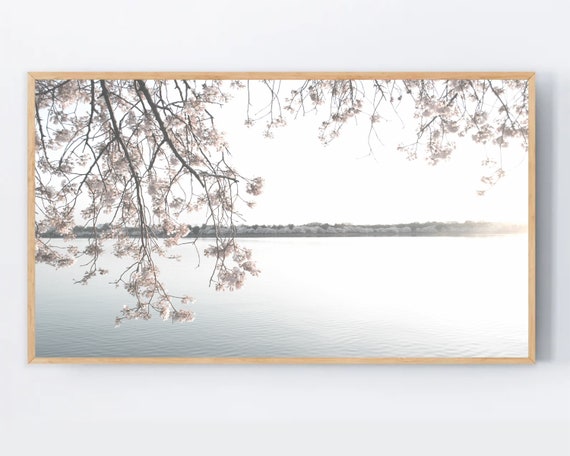 Samsung Frame Tv Art Cherry Blossom For Blooming Flowers Instant Smart Wallpaper