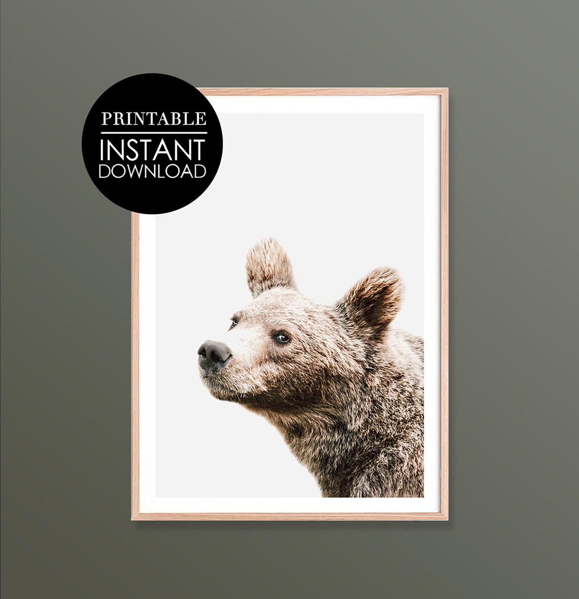 Young Bear Portrait Minimalist Wildlife Photo Nursery Art Poster