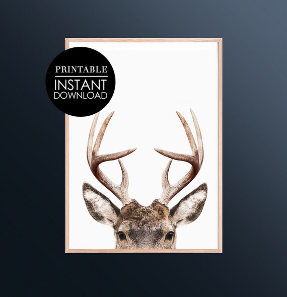 Deer Print Art Antler Wall Decor Modern