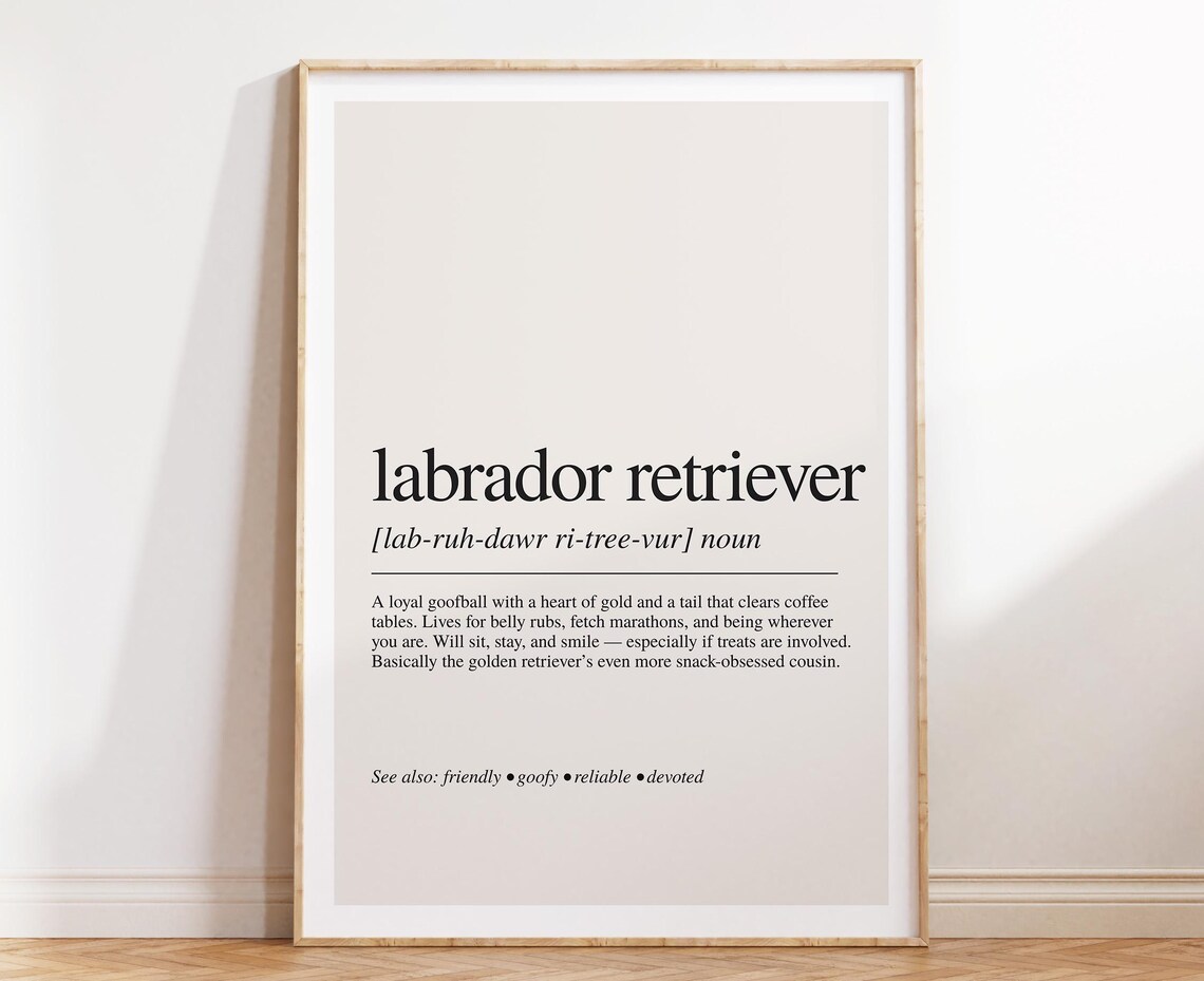 Labrador Retriever Definition Noun Loyal Goofball Gift Minimalist Poster