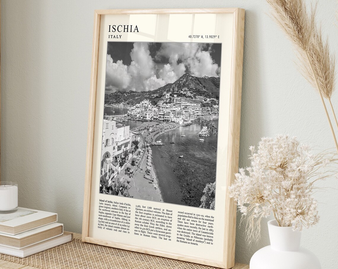 Ischia Italy Volcanic Island Harbor Photo Monochrome Travel Poster
