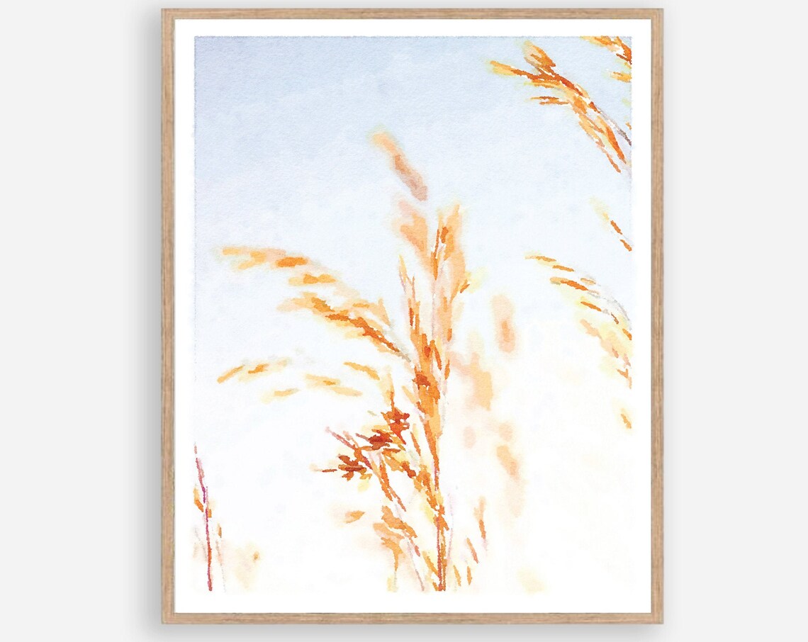 Golden Wheat Grass Watercolor Poster in Bright Minimal Botanical Style