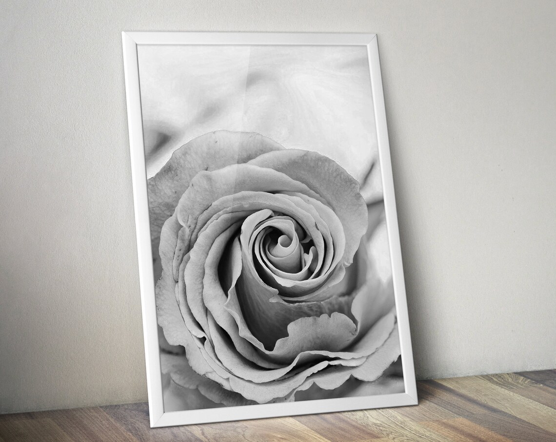 Black and White Rose Macro Photography Romantic Flower Photo Poster - Image 2