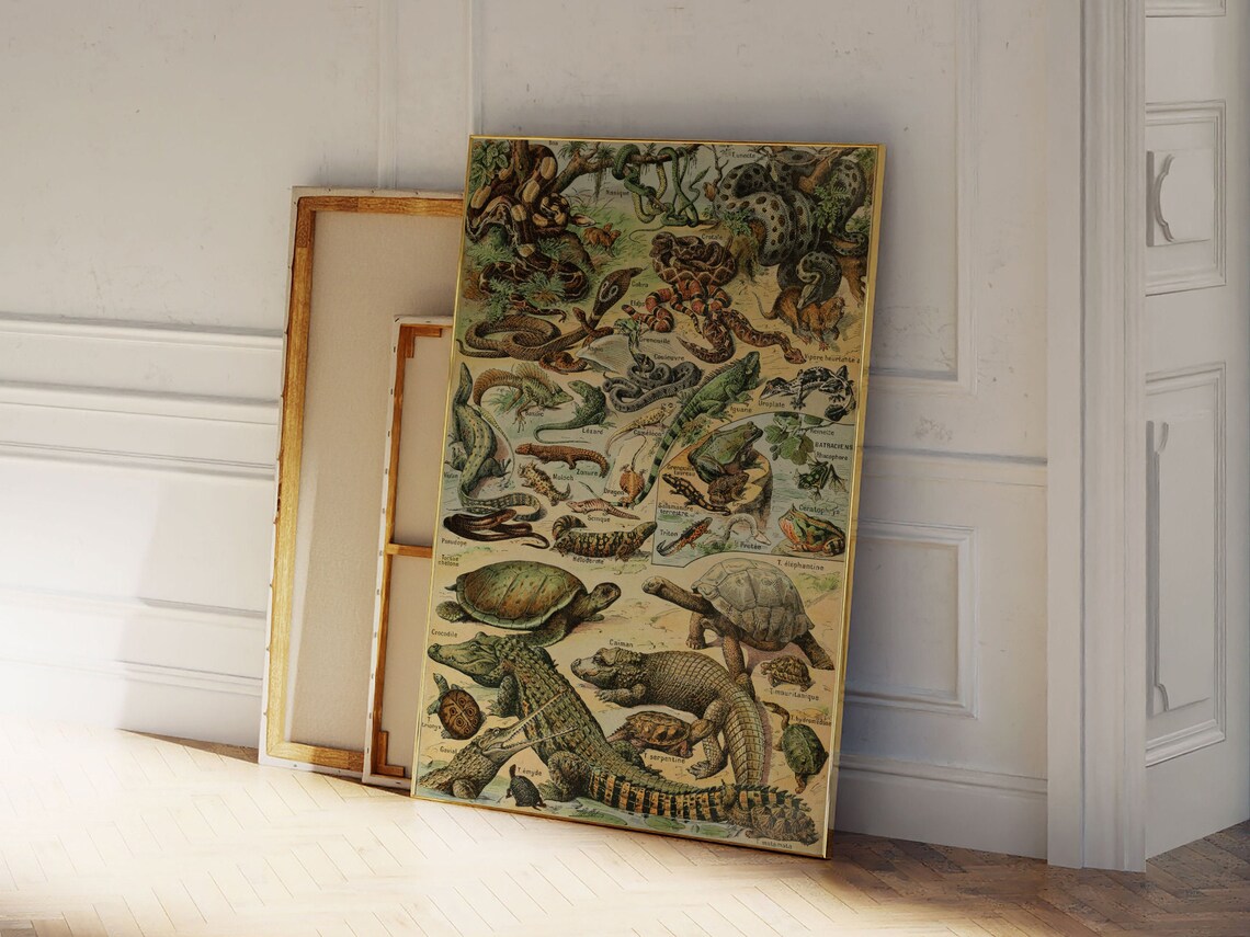 Adolphe Millot Reptiles Antique Natural History Illustration Poster - Image 2