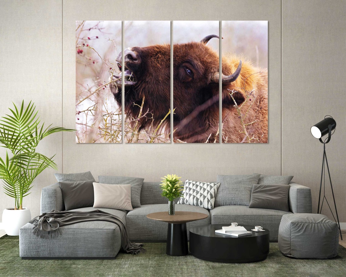 Buffalo Bison Eating Berries Closeup Wild Animal Wildlife Poster - Image 2