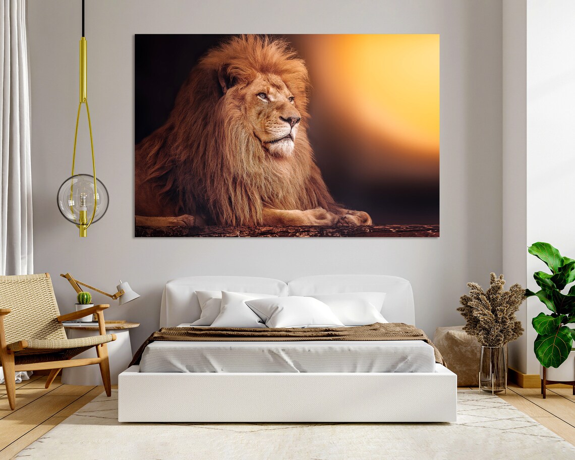 Lion Resting At Sunset Golden Light King Of Beasts Safari Art Poster