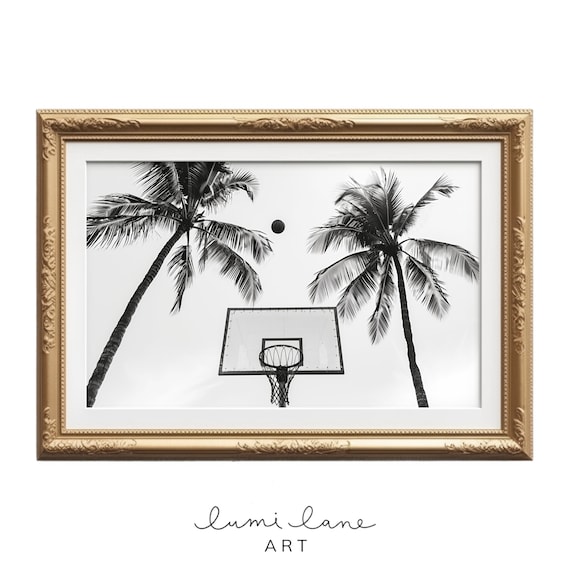 Black And White Basketball Hoop Palm Trees Streetball Photo Poster