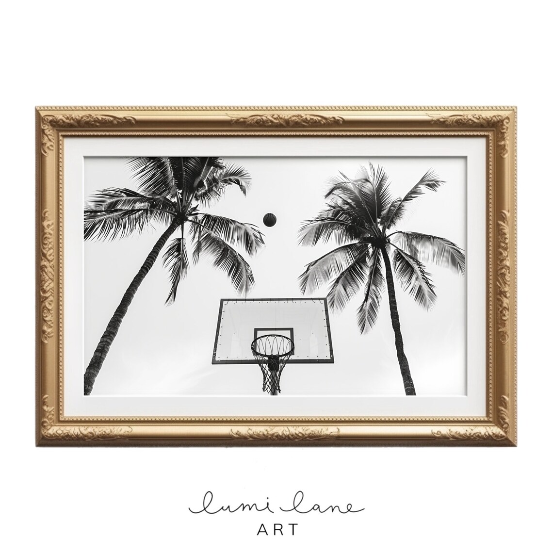 Black And White Basketball Hoop Palm Trees Streetball Photo Poster