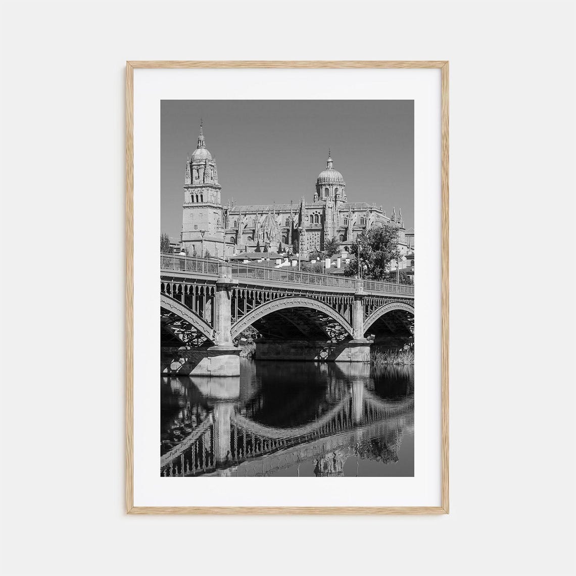 Salamanca Cathedral Iron Bridge Reflection Black and White Poster