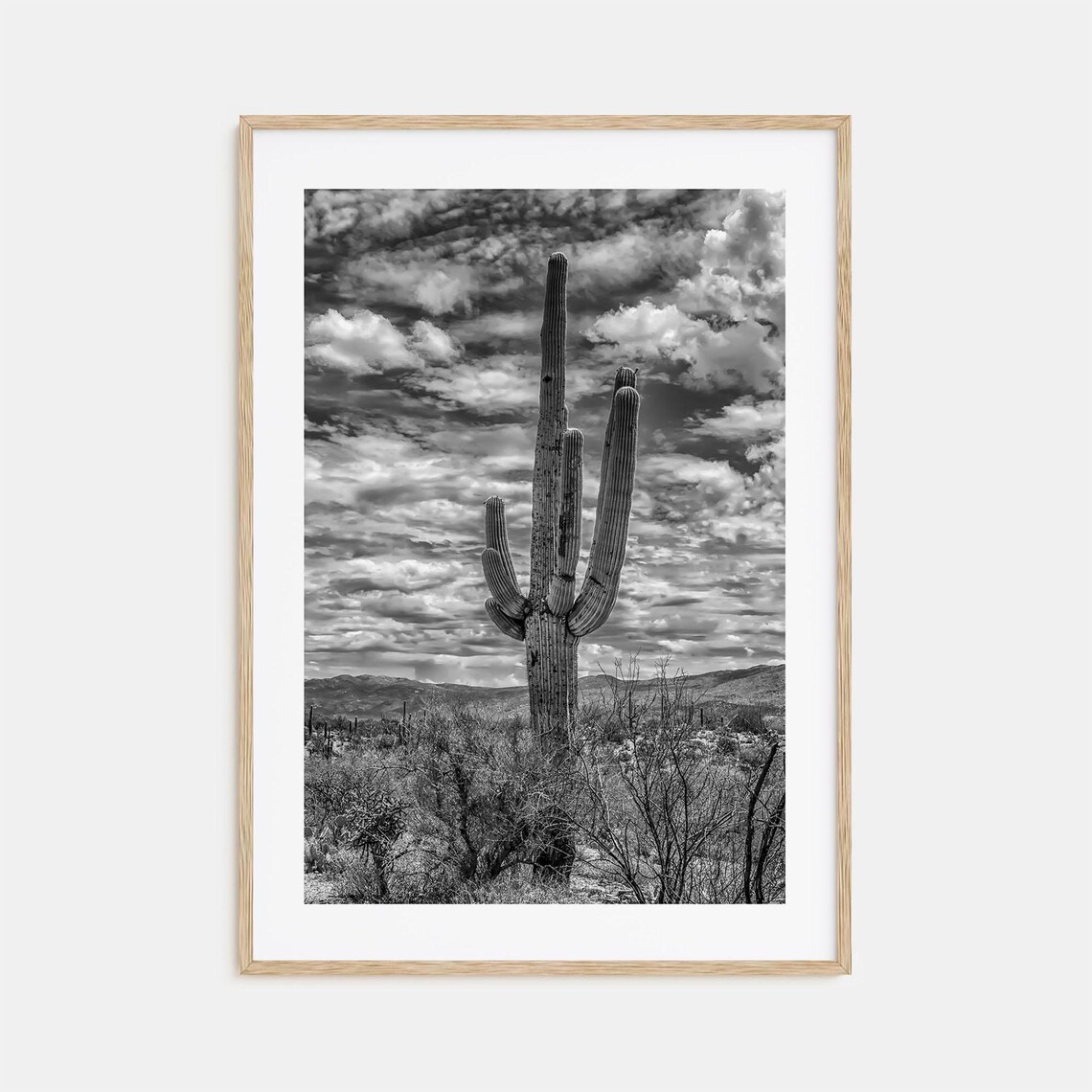 Saguaro National Park Photo Wall Art Print