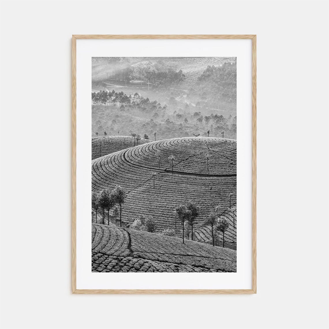 Sri Lanka Tea Plantation Terraced Hills Misty Black White Poster
