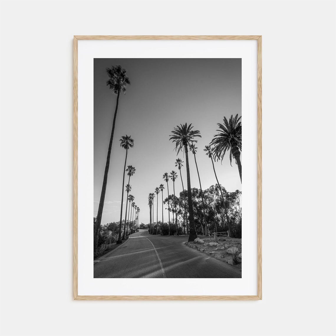 Elysian Park Los Angeles Black And White Palm Lined Road Avenue Poster
