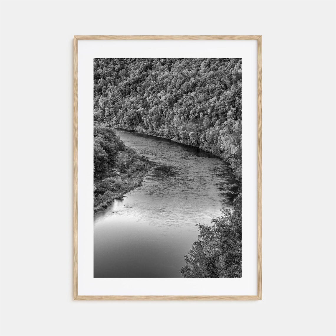 Delaware Black And White Winding River Through Forest Poster