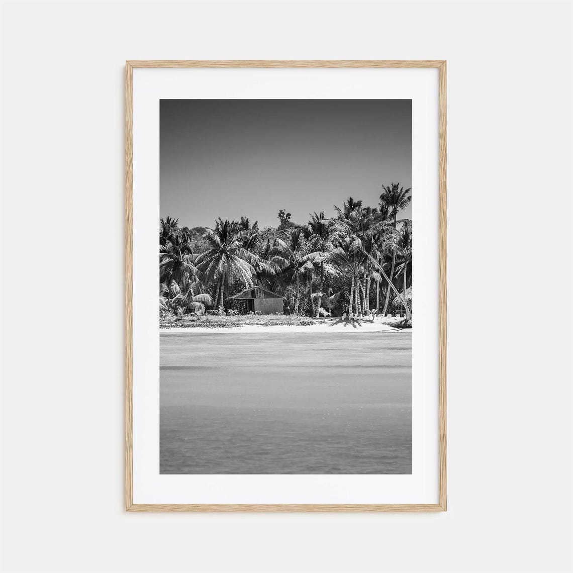 Dominican Republic Palm Tree Beach Shore Black And White Poster