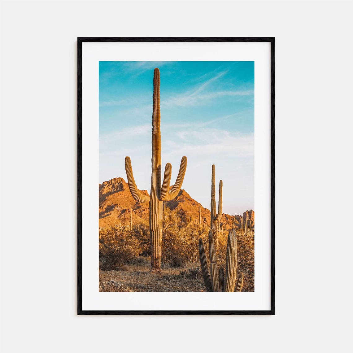 Saguaro National Park Colorful Poster Print No 1 Saguaro National Park Photo Art Wall Decor Travel Print Street Map Poster City Map